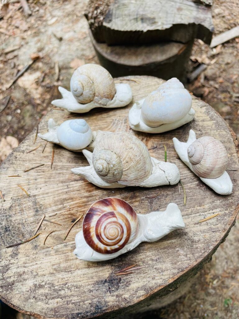 Schnecken aus Fimo und echten Häusern